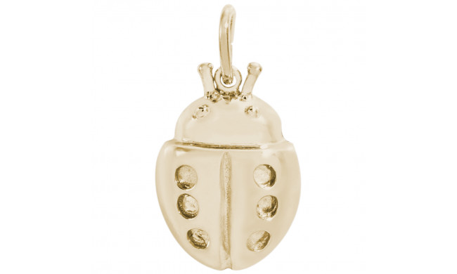 14k Gold Ladybug Charm