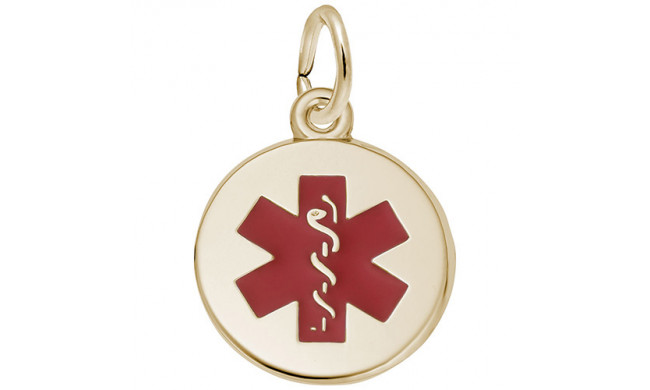 Rembrandt 14k Yellow Gold Medical Charm