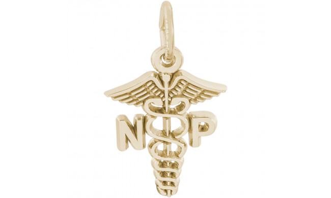 14k Gold Nurse Practitioner Charm