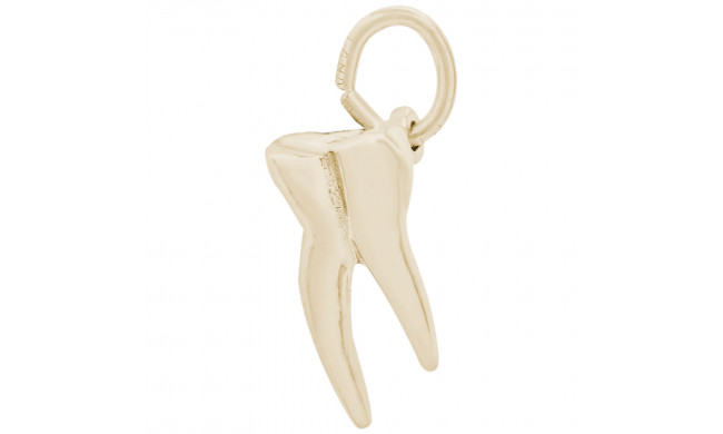 14k Gold Tooth Charm