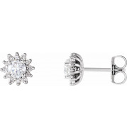14K White 1/2 CTW Diamond Halo-Style Earrings - 86664605P