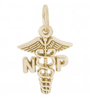 14k Gold Nurse Practitioner Charm