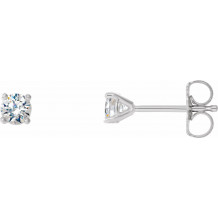 14K White 1/2 CTW Diamond 4-Prong Cocktail-Style Earrings - 297626076P