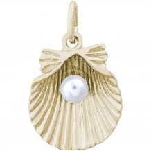 14k Gold Shell With Pearl Charm