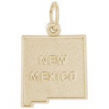 14k Gold New Mexico Charm photo