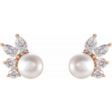 14K Rose Akoya Cultured Pearl & 1/2 CTW Diamond Earrings - 87079607P photo 2