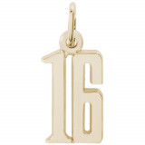 14k Gold Number 16 Charm photo