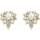 14K Yellow 1/2 CTW Diamond Earrings - 869506022P photo 2