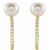 14K Yellow Freshwater Cultured Pearl & 1/6 CTW Diamond Hoop Earrings - 86643606P photo 2
