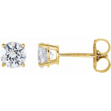 14K Yellow 1 CTW Diamond Earrings - 187470218P photo
