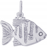 Sterling Silver Angelfish Charm photo