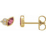14K Yellow Pink Tourmaline & .05 CTW Diamond Earrings - 87095631P photo