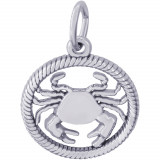 Sterling Silver Cancer Charm photo
