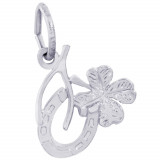 Sterling Silver Good Luck Charm photo