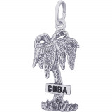 Sterling Silver Cuba Plam W/Sign Charm photo