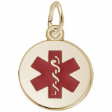 Rembrandt 14k Yellow Gold Medical Charm photo