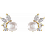 14K Yellow Akoya Cultured Pearl & 1/2 CTW Diamond Earrings - 87079606P photo 2