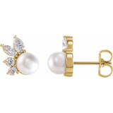 14K Yellow Akoya Cultured Pearl & 1/2 CTW Diamond Earrings - 87079606P photo