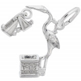 Rembrandt Sterling Silver Stork Twins Charm photo